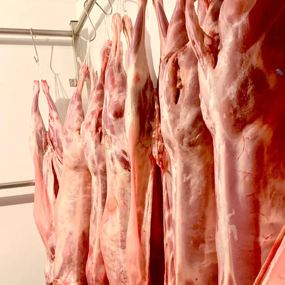 carne-de-ternera-carbel